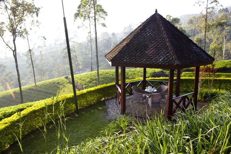 Ceylon Tea Trails, Hatton